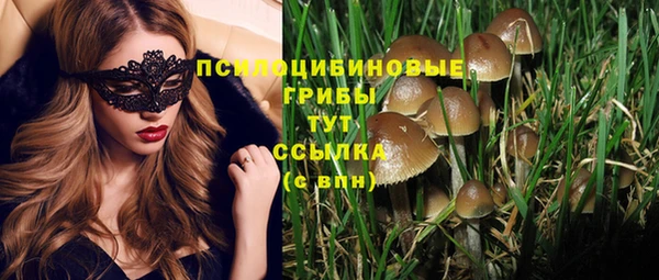марки lsd Переславль-Залесский