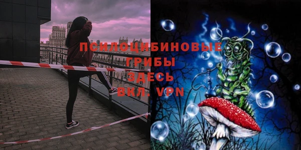 марки lsd Переславль-Залесский
