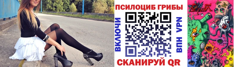 Псилоцибиновые грибы Cubensis  где купить   Калач-на-Дону 