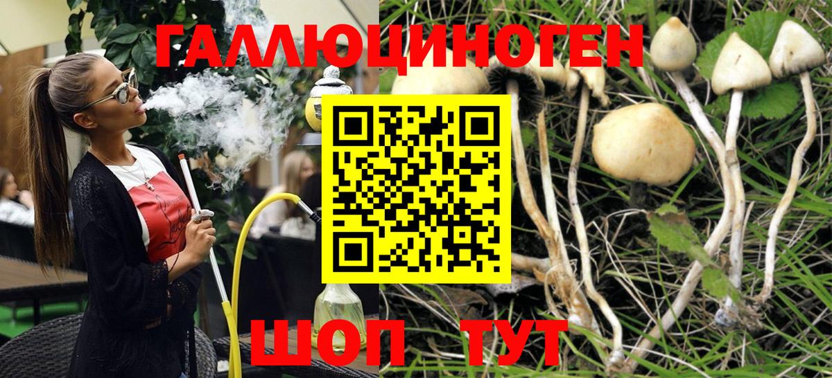 Галлюциногенные грибы прущие грибы Калач-на-Дону